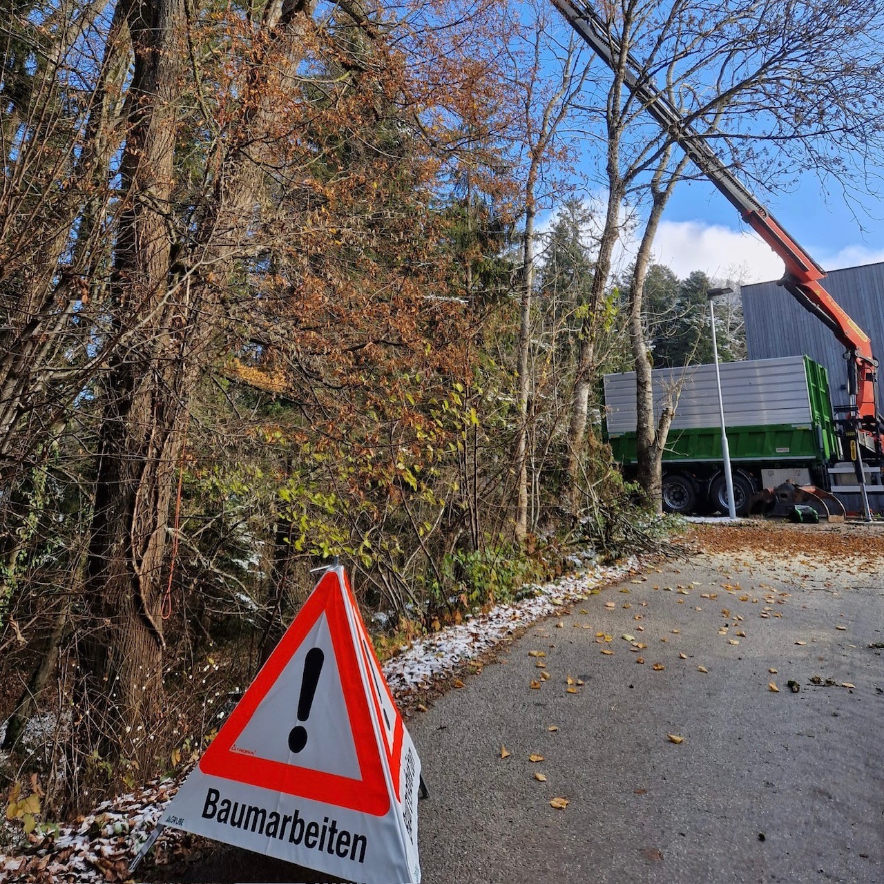 Baumfällarbeiten, Klettertechnik, Mit Leidenschaft, Ihr Michael Moosbrugger aus Hörbranz, Leiblachtal