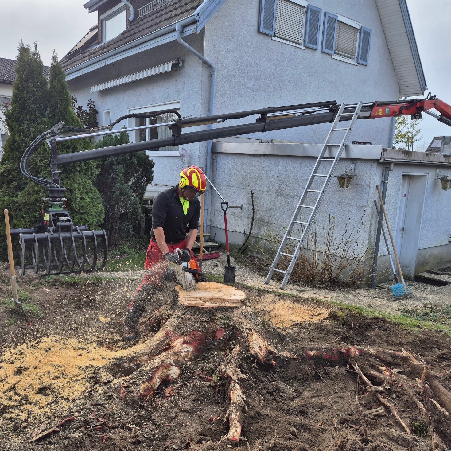 Baumfällarbeiten, Klettertechnik, Mit Leidenschaft, Ihr Michael Moosbrugger aus Hörbranz, Leiblachtal