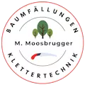 M.Moosbrugger, Baumfällungen, Klettertechnik, Leiblachtal